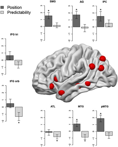 Figure 3. ROIs representing contrast estimates in left-hemispheric “semantic network” regions (coordinates are based on a meta-analysis of Binder et al. (Citation2009) and are indicated by the red blobs) for the effect of word position (dark grey) and word predictability (light grey). Error bars represent 1 SEM. Significant effects are indicated with an asterisk. Abbreviations: SMG = supramarginal gyrus; AG = angular gyrus; IPC = inferior parietal cortex; pMTG = posterior middle temporal gyrus; MTG = middle temporal gyrus; ATL = anterior temporal lobe; IFG orb = inferior frontal gyrus pars orbitalis; IFG tri = inferior frontal gyrus pars triangularis.