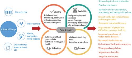 Figure 2. Simplified diagram showing the impact pathways of climate change-induced water-related threats for food security.