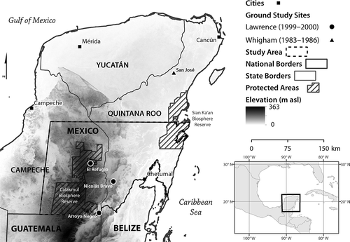 Figure 1. The Mexican Yucatán Peninsula, with study area indicated in red. Circle markers show approximate location of litter measurement by Lawrence (Citation2005). Triangle marker shows the location of litter measurement by Whigham et al. (Citation1990).