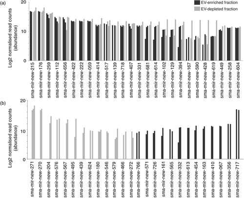 Fig. 5.  Schistosomula E/S products contain large numbers of novel miRNAs found within and outside EVs. The miRDeep2 module was used to identify 170 potential novel sma-miRNAs found within schistosomula E/S products (see Materials and methods for details). (a) The 26 most abundant (out of 88 in total) novel sma-miRNAs found in both EV-enriched (black bars) and EV-depleted (grey bars) fractions. (b) The 26 most abundant miRNAs more likely to be found either in the EV-enriched (44 in total) or the EV-depleted (38 in total) E/S fractions (i.e. containing reads only in the EV-enriched or EV-depleted fractions after normalization). Bar charts represent the miRNA log2 normalized read counts for each sample where the indicated sma-miRNA was found (see Materials and methods). Raw and processed sma-miRNA read data are found in Supplementary file 3. Bold sma-miRNAs in (a) and (b) represent the most abundant miRNAs found in this study.