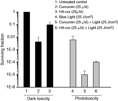 Figure 3. Survival of MRSA treated with curcumin and HA–cur in dark and after exposure to blue light. Survival was assessed by colony assay. Data represented are mean ± SE of three experiments.