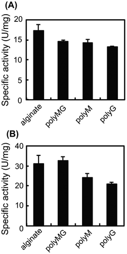 Fig. 4. Substrate specificity of Cobetia sp. NAP1-produced AlgC-PL7 (A) and recombinant AlgC-PL7 (B).