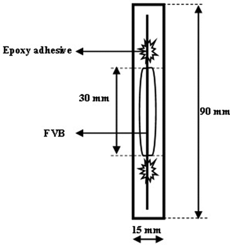 Figure 3. An illustration of testing the FVB mechanical properties.