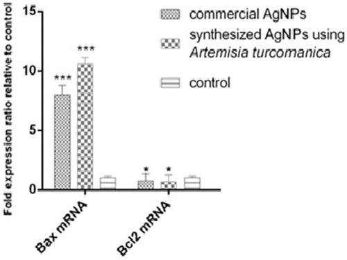 Figure 8. Comparison of BAX and Bcl2 mRNA levels in the AGS cell line after 24 h of treatment with phytosynthesized and commercial AgNPs.