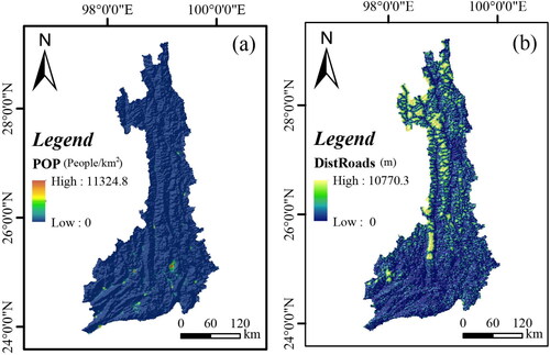 Figure 5. Spatial distribution of human activity factors. (a) POP; (b) DistRoads.