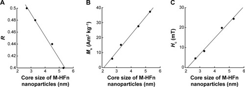 Figure 3 Size dependence of magnetic properties of M-HFn nanoparticles.Notes: The relationship between the core size of M-HFn nanoparticles and their (A) R-value, (B) Ms, and (C) Hc.Abbreviations: M-HFn, ferrimagnetic H-ferritin; Ms, saturation magnetization; Hc, coercivity; R, magnetostatic interaction parameter.