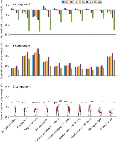 Figure 8. X (antero-posterior), Y (longitudinal) and Z (medio-lateral) components of the joint reaction force normalised to body weight at each lumbar level for static positions of the spine. Forces are expressed in the local vertebral coordinate systems shown in Figure 2.