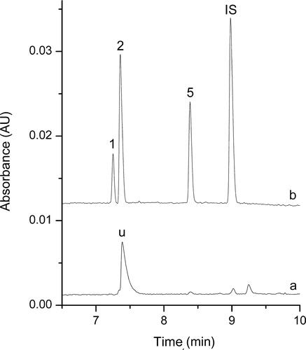 Figure 4. Electropherograms obtained for the real biological samples from the drug abuser before (a) and after (b) dispersive liquid–liquid microextraction (DLLME) extraction under the optimum conditions. Extraction conditions: dispersive solvent, 0.5 mL isopropyl alcohol; extraction solvent, 41.0 μL CHCl3; room temperature; pH of sample, 9.0; analytes concentration spiked, urine: 50 ng/mL; internal standard: 3 μg/mL lidocaine. Peak identification: (IS) lidocaine, (1) AM: amphetamine, 42.1 ng/mL, (2) MA: methamphetamine, 102.6 ng/mL, (5) ketamine, 84.7 ng/mL.