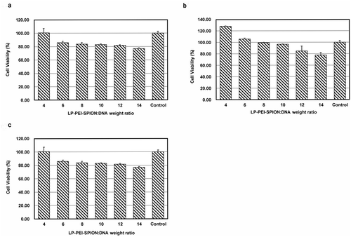 Figure 4. Cell viability of LP-PEI-SPION/DNA complexes at various weight ratios in three different cell lines. (a) SPC-A1, (b) HepG2 and (c) A549. Data was obtained from three independent experiments (mean ± SD, n = 3).