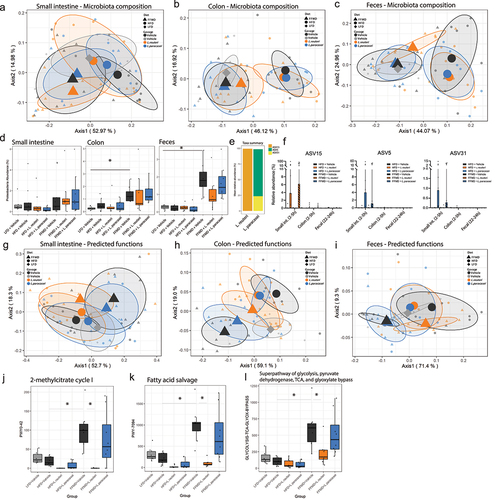 Figure 4. Gut microbiota composition and predicted function are affected by L. reuteri in combination with FFMD. a) Principal coordinate analysis (PCoA) of microbiota composition using weighted UniFrac distances of small intestine content sampled at the end of Study 1. Centroids indicate group average illustrated with 50% CI and smaller points indicate individual data points. b) as a for colon content. c) as a for fecal samples collected at week 12 of the study. d) Relative abundance in % of Proteobacteria phylum in small intestine-, colon content, and fecal samples at the end of Study 1. Points indicate individual data points. Asterisks indicate p-values <0.05 comparing the indicated groups. e) Distribution of amplicon sequence variants (ASVs) as relative abundances identified in Limosilactobacillus reuteri DSM 32,910 (L. reuteri) or Lacticaseibacillus paracasei subsp. paracasei DSM 32,851 (L. paracasei) stocks. f) Relative abundance in % of ASV15, ASV5 and ASV31, respectively, from the administered Lactobacillus strains in small intestine-, colon content, and fecal samples collected 2-5 h (small intestine and colon) or 22-24 h after latest oral gavage at the end of the study. Points indicate individual data points and bars group mean with interquartile range. g) PCoA of predicted functions of the microbiota by KEGG orthology using Bray-Curtis distances of small intestine content sampled at the end of Study 1. Centroids indicate group average illustrated with 50% CI and smaller points indicate individual data points. h) as g for colon content. i) as g for fecal samples collected at week 12 of the study.j) Relative changes in predicted 2-methylcitrate cycle I BioCyc ID PWY0–42 in fecal samples from the end of Study 1. k) as j for fatty acid salvage BioCyc ID PWY-7094. l) as j for glycosis pathway BioCyc ID GLYCOLYSIS-TCA-GLYOX-BYPASS. a-d, f-i) LFD+Vehicle Small int. and fecal n = 6 colon n = 9, HFD+Vehicle Small int. and fecal n = 9 colon n = 8, HFD+L.Reuteri n = 9, HFD+L.Paracasei n = 9, FFMD+Vehicle n = 9, FFMD+L.Reuteri n = 9, FFMD+L. paracasei n = 8.