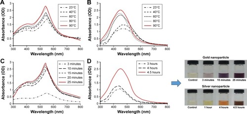 Figure 1 Temperature-dependent UV–Vis spectra of the reaction mixture for BG-AuNps (A) and BG-AgNps (B). Time-dependent UV–Vis spectra of the reaction mixture for BG-AuNps (C) and BG-AgNps (D).Abbreviations: UV–Vis, ultraviolet–visible; BG, black ginseng; AuNps, gold nanoparticles; AgNps, silver nanoparticles; OD, optical density.