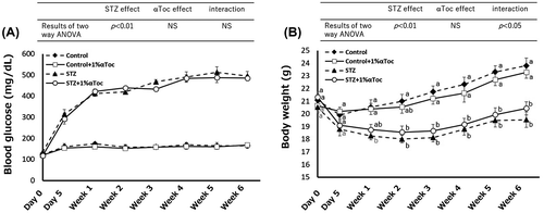 Figure 1. Effects of the oral administration of αToc on blood glucose levels and body weight. The blood glucose levels (A) and body weight (B) of the mice in each group were measured before and after STZ administration (day 0 and day 5) and every week thereafter for 6 weeks. Number of mice in every group was n = 5. The values are means ± SE. The results of two way ANOVA were shown as a table in graphs. Different superscript letters indicate significant difference analyzed with two way ANOVA and Scheffe’s test among the groups.