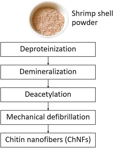 Figure 1. Preparation of chitin nanofibers (ChNFs) from shrimp shell waste.