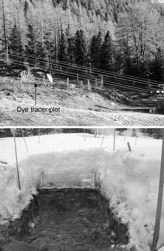 FIGURE 1. Top: View of the experimental site at Hannigalp (Grächen, 2100 m a.s.l.) shortly after the end of the snowmelt. Bottom: Example of an excavated profile on 30 April 2001 from which the flow pattern of the stained meltwater was analyzed