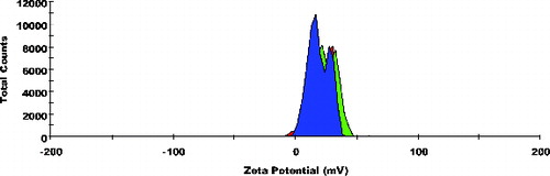 Figure 4. Frequency curves of zeta potential of cationised placebo lipidic emulsion (CPLE); zeta potential: +20.9 ± 3.25 mV; n = 3.