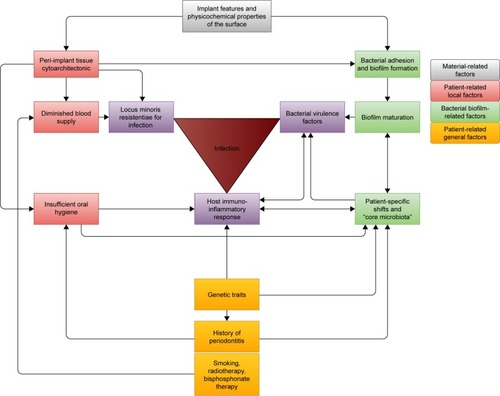 Figure 1 Peri-implant infection is a result of the co-occurrence of several, highly related factors.