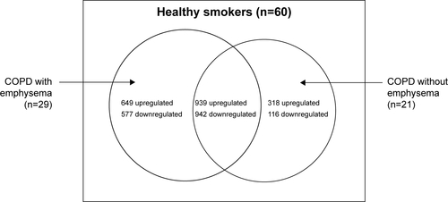 Figure S2 Schematic Venn diagram of the number of DEGs in the three subjects groups.Notes: In the COPD with emphysema group, 1,588 genes were upregulated and 1,519 genes were downregulated, compared with those in healthy smokers. In the COPD without emphysema group, 1,257 genes were upregulated and 1,058 genes were downregulated, compared with those in healthy smokers. In both COPD groups, 939 genes were upregulated and 942 genes were downregulated, compared with those in healthy smokers.Abbreviation: DEGs, differentially expressed genes.