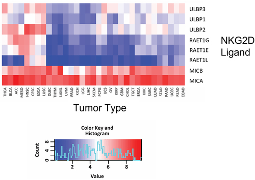 Figure 2. Broad expression of MICA and MICB in human cancers.
