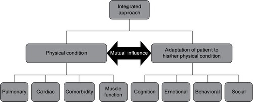 Figure 2 Mapping COPD characteristics.