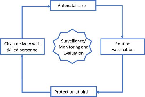 Figure 3 Strategies for sustaining maternal and neonatal tetanus elimination.