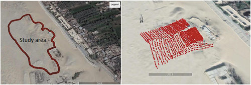 Figure 6. Distribution of the gravity and geodetic points in the southern Jubban area of Saqqara, Known as the animal cow.