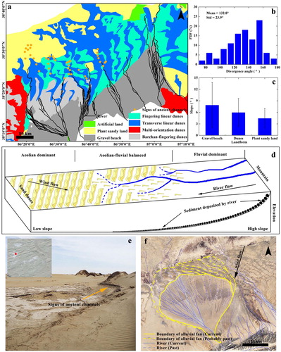 Figure 10. The impact of fluvial systems and topographic relief on spatial distribution of dunes. (a) Spatial distribution of rivers and dunes. Rivers are a simplified overlay of historical rivers from 1989 to 2016. Signs of ancient channels are identified by white signs in remote sensing images (e). (b) The histogram of the divergence angle between river flow and wind flow in sub-region. (c) The average slope in gravel beach, plant sandy land and the region covered by dunes. The geographical scopes of each landform are shown in (a). (d) The schematic diagram of aeolian–fluvial interaction and the deposition pattern of rivers. (e) Field photo of the white signs in remote sensing image (88.41°E, 39.47°N). (f) The probable degradation processes of an alluvial fan on the southern margin of Taklimakan Desert (84.47°E, 37.44°N). Source: Author.