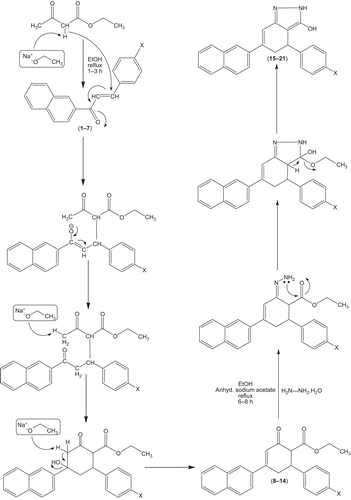 Scheme 2.  Reaction mechanism for the formation of title compounds ethyl 4-(naphthalen-2-yl)-2-oxo-6-arylcyclohex-3-enecarboxylates and 4,5-dihydro-6-(napthalen-2-yl)-4-aryl-2H-indazol-3-ols.