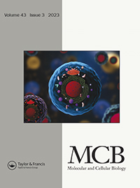 Cover image for Molecular and Cellular Biology, Volume 43, Issue 3, 2023