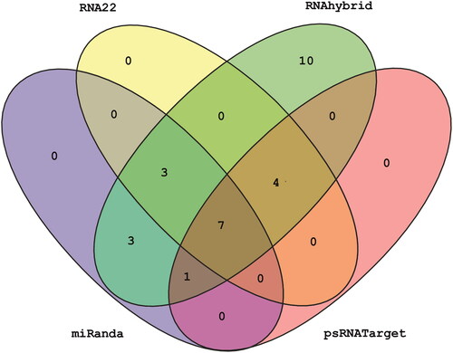 Figure 3. Venn diagram plot of SCYLV-CHN-HN1 depicting common sugarcane-encoded miRNAs concluded by all the algorithms. In total, 28 loci are targeted in the SCYLV genome by sugarcane-encoded miRNAs. Furthermore, seven sugarcane miRNAs (sof-miR159e, sof-miR167 (a, b), sof-miR168b, ssp-miR169, ssp-miR528 and ssp-miR444b) are predicted by all the computational tools used in this study.