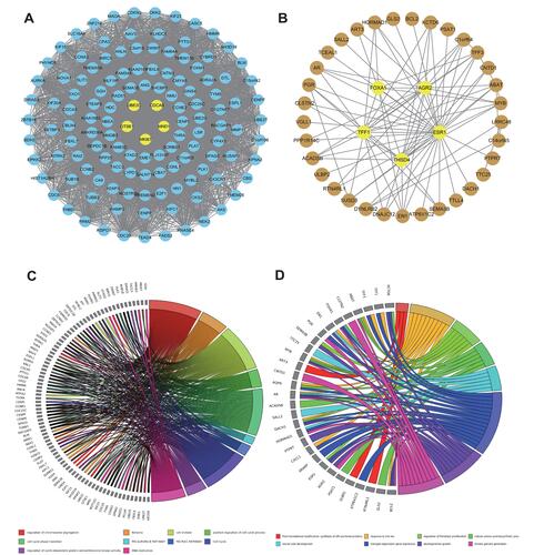 Figure 2 Gene co-expression networks of the blue (A) and brown (B) modules visualized by Cytoscape. Yellow nodes represent hub genes. Blue and brown nodes represent non-hub genes in the respective modules. Nodes in the networks represent genes in the module. Edges between the nodes indicate that the two genes are co-expressed. GO (gene ontology) enrichment analyses of the blue (C) and brown (D) modules.