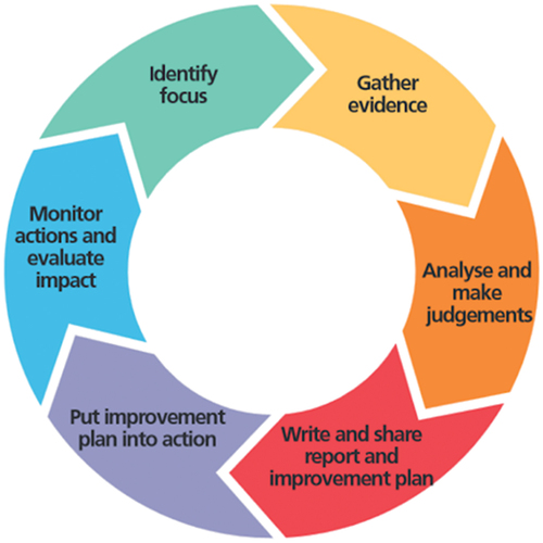 Figure 1. Six-step reflective cycle.