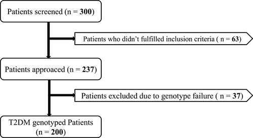 Figure 1 Flowchart of T2DM patients.