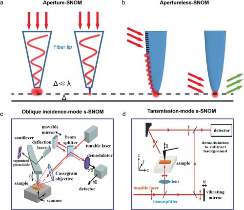 Figure 3. Experimental scheme of SNOM. (a) The illumination scheme of a-SNOM. (b) The illumination scheme of s-SNOM. (c) The scheme of oblique incidence-mode s-SNOM [Citation47]. (d) The scheme of transmission mode s-SNOM [Citation48]. (c) Reproduced with permission [Citation47]. Copyright 2002, Wiley-VCH. (d) Reproduced with permission [Citation48]. Copyright 2010, American Chemical Society.