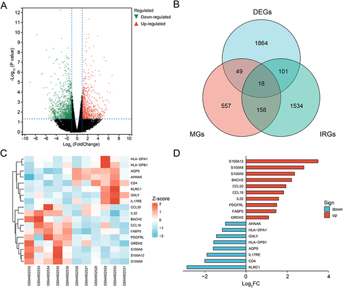 Figure 1 Identification of IRDEGs in NAFLD. Volcano map of DEGs (A). Venn diagram indicated the overlap of DEGs in NAFLD, immune-related genes from ImmPort database and marker genes of immune cells to obtain 18 IRDEGs (B). Heat plot and horizontal bar chart showed the expression profile and fold change of 18 IRDEGs (C and D).