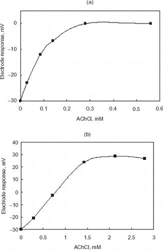 Figure 3. Effect of AChCl concentration on gelatin (a) and chitosan (b) based AChE electrode (in 2.5 mM of phosphate buffer, pH 8.0 for gelatin based system and in 2.5 mM of borate buffer, pH 8.5 for chitosan based system, at 25°C).