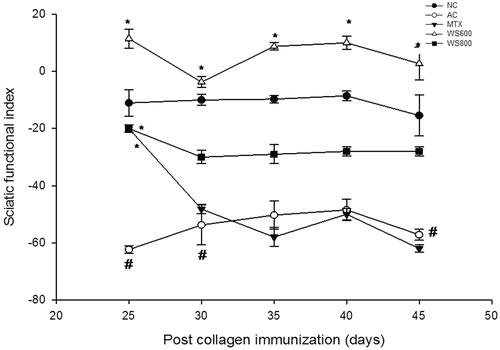Figure 10. Sciatic functional index of rats from the 25th to 45th day post collagen immunization. NC: normal control, AC: arthritic control, MTX: methotrexate (0.3 mg kg−1), WS 600; W. somnifera (600 mg kg−1), WS 800: W. somnifera (800 mg kg−1) treated rats with ± SEM, N = 6, *p < 0.05 versus AC, #p < 0.05 versus NC.