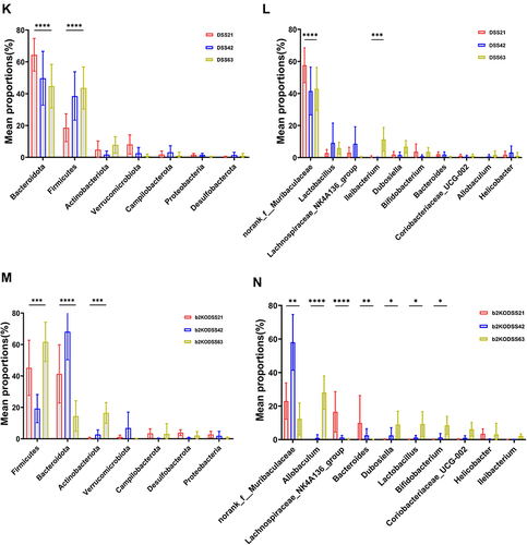 Figure 3 Alpha diversity and beta diversity analysis and changes in the composition of the intestinal flora. (A and B) Sob and Shannon indices at the OTU level. (C) Rarefaction curves based on the OTU level. (D-F) Bray‒Curtis PCoA plot of Days 21, 42 and 63 based on OTU abundance. (G) Venn diagram based on OTU level. (H and I) Composition of the microbiota in mice at the phylum and genus levels. (J) Circos diagram of four groups on day 63. (K and L) Changes of intestinal microflora at phylum and genus levels in DSS group on day 21, 42 and 63. (M and N) Changes of intestinal microflora at phylum and genus levels in b2KODSS group on day 21, 42 and 63. All data were expressed as mean ± SD (In DSS group, Day 21 n=11, Day 42 n=10, Day 63 n=8. Other groups n = 8). Statistical significance was indicated as follows: *p < 0.05, **p < 0.01, ***p < 0.001, and ****p < 0.0001.