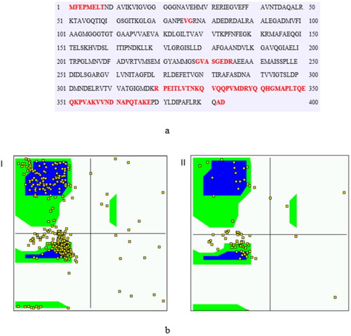 Figure 3. (a) PrDos 2 state prediction (False positive rate 5%) Red: Disordered residues, Black: Ordered residues. (b) Ramachandran distribution map of I) model phi and psi angles II) intrinsically disordered region in the protein.