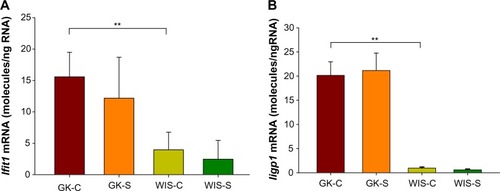 Figure 8 Expression of genes reflecting inflammation in muscle tissue with salsalate treatment.