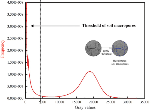 Figure 1. Grey scale intensity of soil columns scanned using X-ray computed tomography and blue denotes soil macropores.