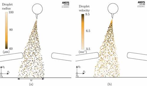 Figure 9. Simulation results without a break-up model for U=75kV,I=29μA,Q=6.8gs−1, r0=62…95μm, vstrip=0ms−1, and lu=305mm. (a) Droplet radii. (b) Droplet velocities.