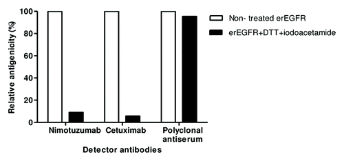 Figure 1. Conformation-sensitivity of the epitope recognized by nimotuzumab. Coating extracellular region EGFR recombinant protein was sequentially treated with DTT and iodoacetamide to disrupt disulfide bonds. Binding of nimotuzumab to either treated or non-treated antigen was detected with anti-human IgG antibodies labeled with horseradish peroxidase. Relative antigenicity (%) of denatured erEGFR was calculated taking the reactivity toward the unmodified antigen as the reference. Cetuximab and polyclonal anti-erEGFR monkey antiserum were used as control antibodies.