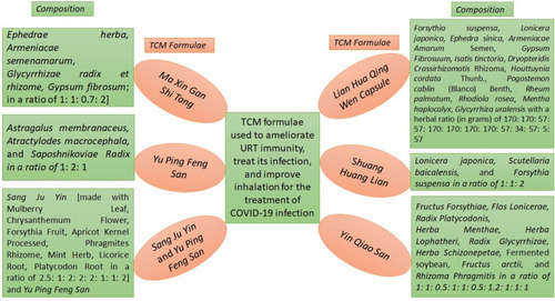 Figure 1 TCM decoction formulas (with their compositions) used to ameliorate URT immunity, treat its infection, and improve inhalation in the treatment of COVID-19 infection.