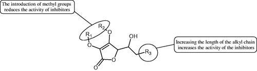 Figure 8. Chemical groups of L-ascorbic acid involved in the inhibition of hyaluronidase.