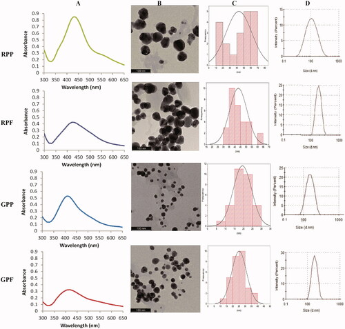 Figure 5. Physico-chemical properties of the AgNPs at the optimal conditions. The AgNPs were characterized by UV-Vis (A), HRTEM (B) and DLS (D). The core size of the AgNPs was calculated from the HRTEM images by ImageJ software (C).