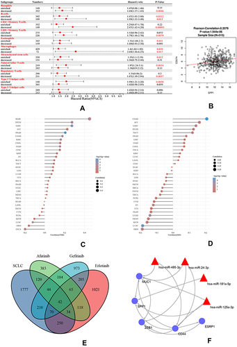 Figure 8 (A) A forest plot showed the prognostic value of SPP1 expression according to different immune cell subgroups in LUAD patients. (B) Correlation between PD-L1 and SPP1. (C) Correlation analysis of TMB and SPP1. (D) Correlation analysis of MSI and SPP1. The horizontal axis in the figure represents the correlation coefficient; the ordinate is different tumors. The size of dot represents the correlation coefficient, and colors represent the significance of P value. (E) A Venn diagram of SCLC and three TKI-resistant profiles. (F) RNA-miRNA network of five hub genes.