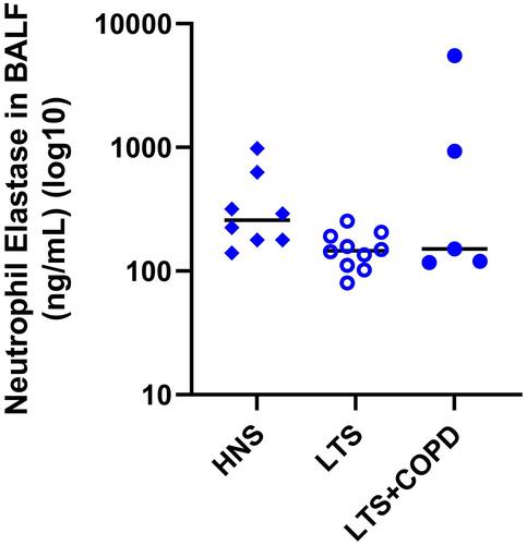 Figure 7 Protein concentration of neutrophil elastase in BALF of HNS, LTS and LTS+COPD (n= 4–10).