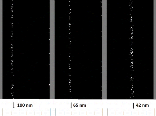 Figure 5. Images obtained from CCD of 100 nm, 65 nm, and 42 nm DMA classified NaCl particles in the prototype water-FIMS. Gray lines indicate the edges of the separation channel (i.e., the electrode surface). The ground plane, along which the particles are introduced at the top of the separator, is on the left; the high voltage electrode is on the right.