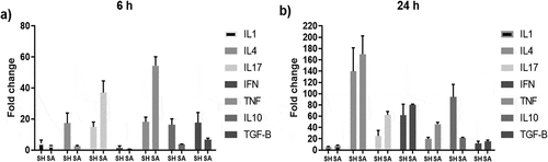 Figure 8. Cytokine expression profile of PBMCs incubated with S. haemolyticus and S. aureus for 6 and 24 h. The figure shows the mean of 3 independent experiments ± standard error.