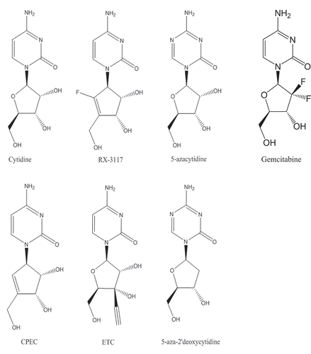 Figure 1. Structural formulas of RX-3117 and the related nucleoside analogs.cyclopentenylcytosine (CPEC), ethynylcytidine (ETC; TAS106), azacytidine (azaCR), aza-2ʹ-deoxycytidine (aza-CdR), gemcitabine and the normal nucleoside cytidine.